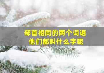 部首相同的两个词语 他们都叫什么字呢